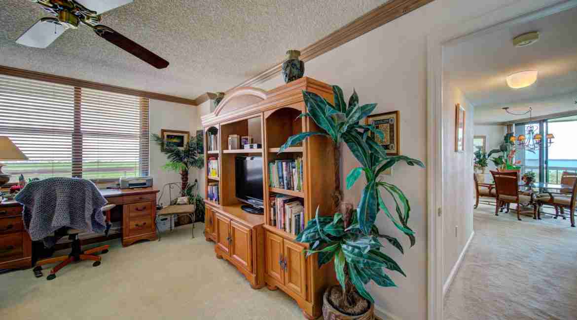 043 - Den 2 - Island Dunes I #1301