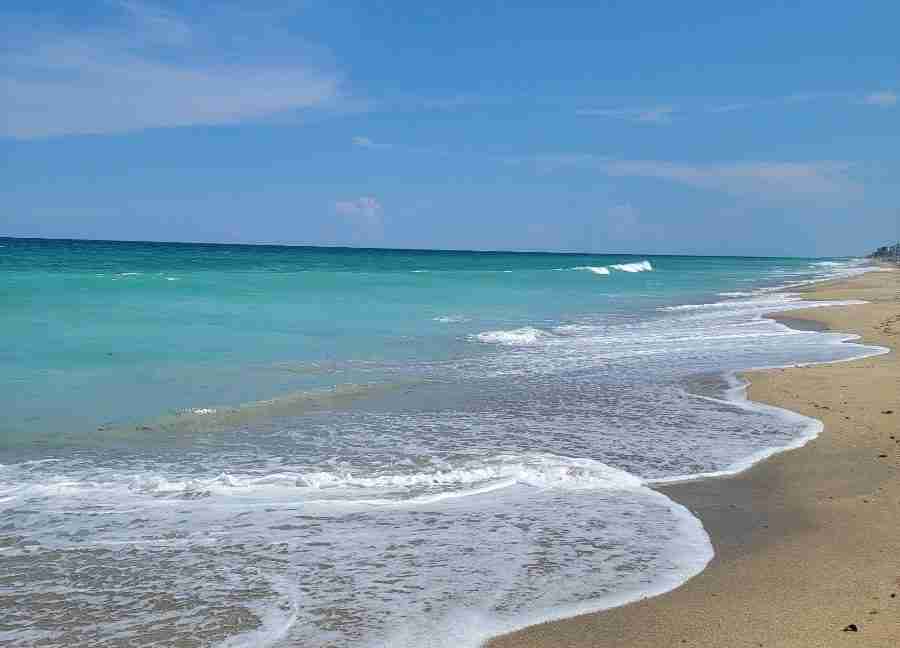 Resized_PART_1665431548749_Resized_20220819_151549